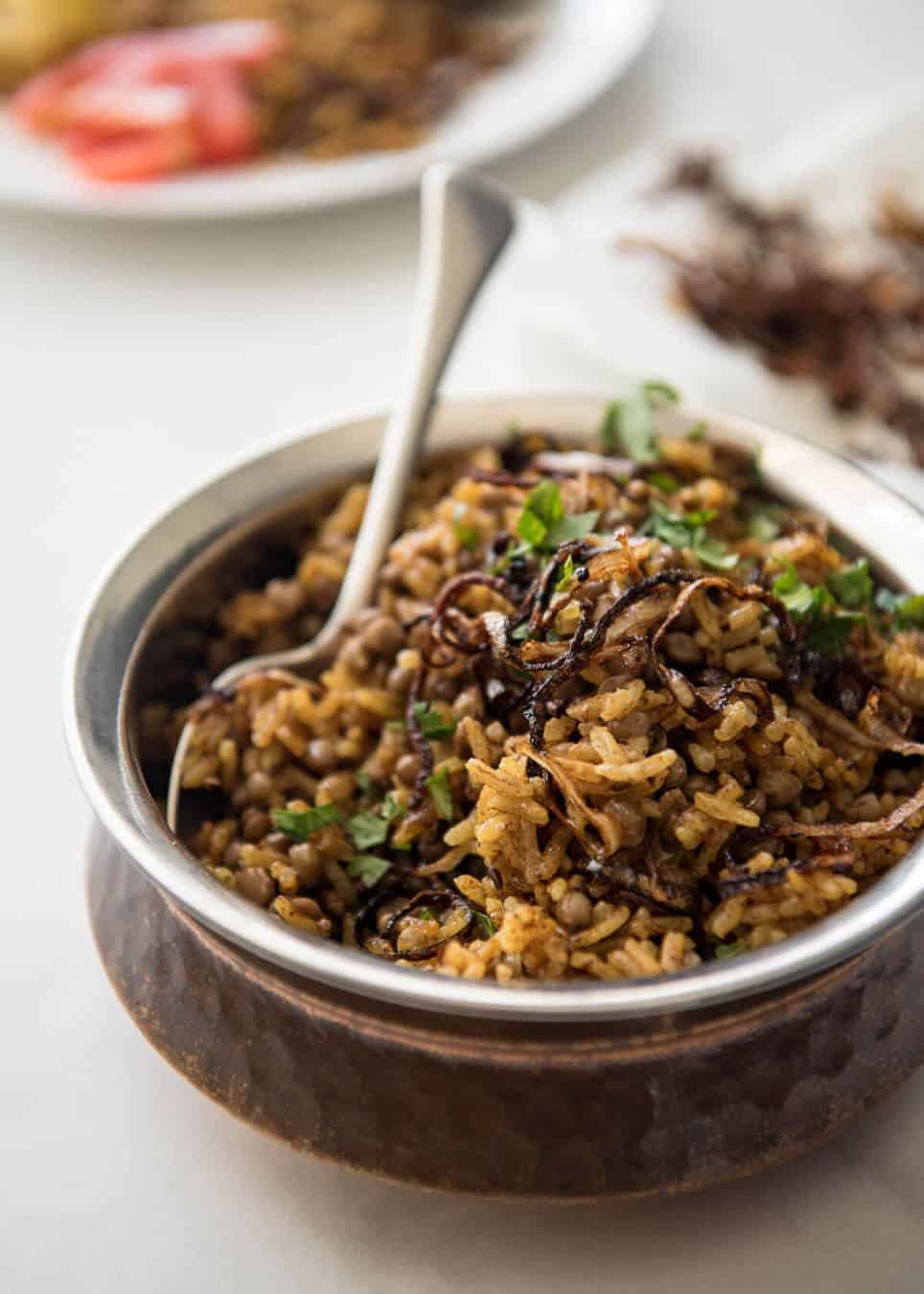 Mejadra -一种芳香的中东大米和扁豆肉饭。Yotam Ottolenghi的食谱。reporetineats.com.